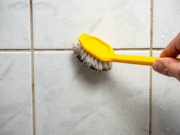 Best Commercial Mold Removal  in Uvalde Estates, TX
