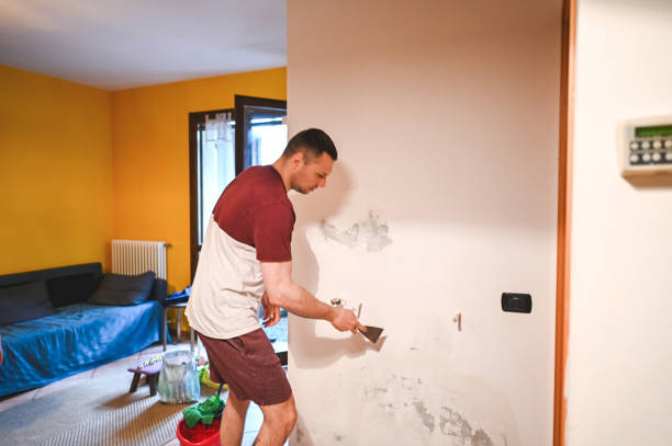 Best Mold Testing  in Uvalde Estates, TX